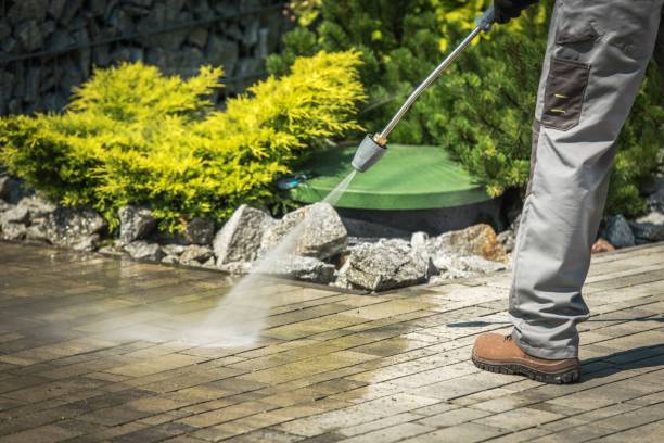 Best Winterizing Services  in Bottineau, ND